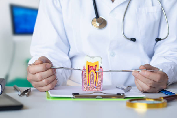 Professional Emergency Dental Service in IL